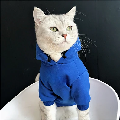 Новое поступление, одежда для собак с капюшоном, флисовая толстовка для маленьких собак, повседневные Костюмы для щенков, кошек, французского бульдога, Бишон, одежда - Цвет: PC-1348 BLUE