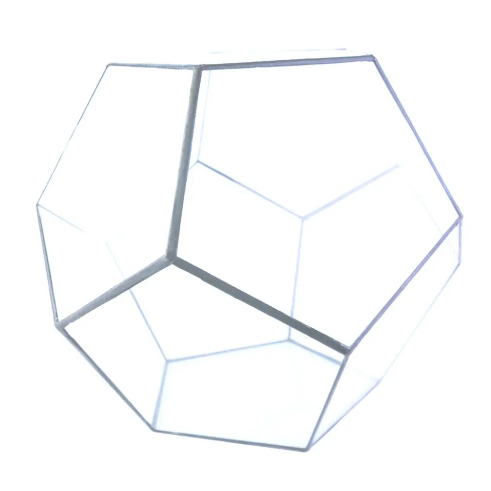 Додекаэдр стекло теплица зеленое растение прозрачный Творческий мох микро