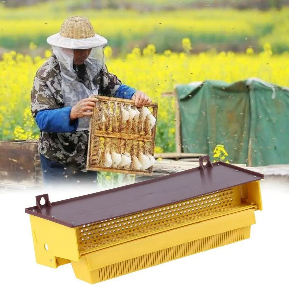 

Beekeeping Plastic Pollen Trap Yellow with Removable Ventilated Pollen Tray Pollen Collector Beehive Supplies Tools Apiculture