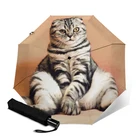 Складной полностью автоматический зонт для женщин, для путешествий, анти-УФ, ветрозащитный, дождевик, собака, модификация, женский, мужской, солнцезащитный зонтик, уличные зонты