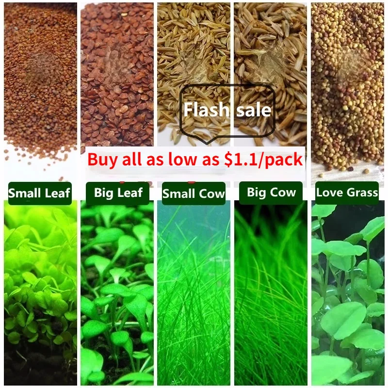 

Aquarium plants fish tank decoration aquarium background accessoires quickly landscaping aquatic plants aerobics fish breeding