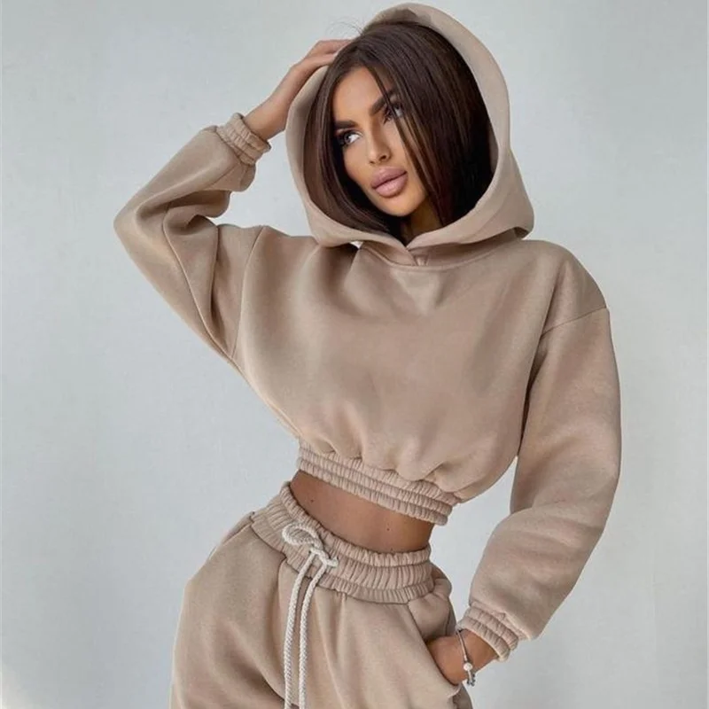

Spring Tracksuit Women Two Piece Sets Casual Basic Hoodie and Drawstring Pant Suits Elastic Outerwear Solid Loose Women Sets