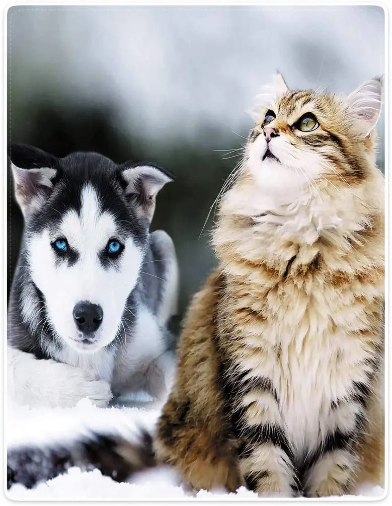 

Blankets Plush Sofa Bed Throw Cute Cat Husky Pet for Bed Couch Sofa Room Decoration Gifts