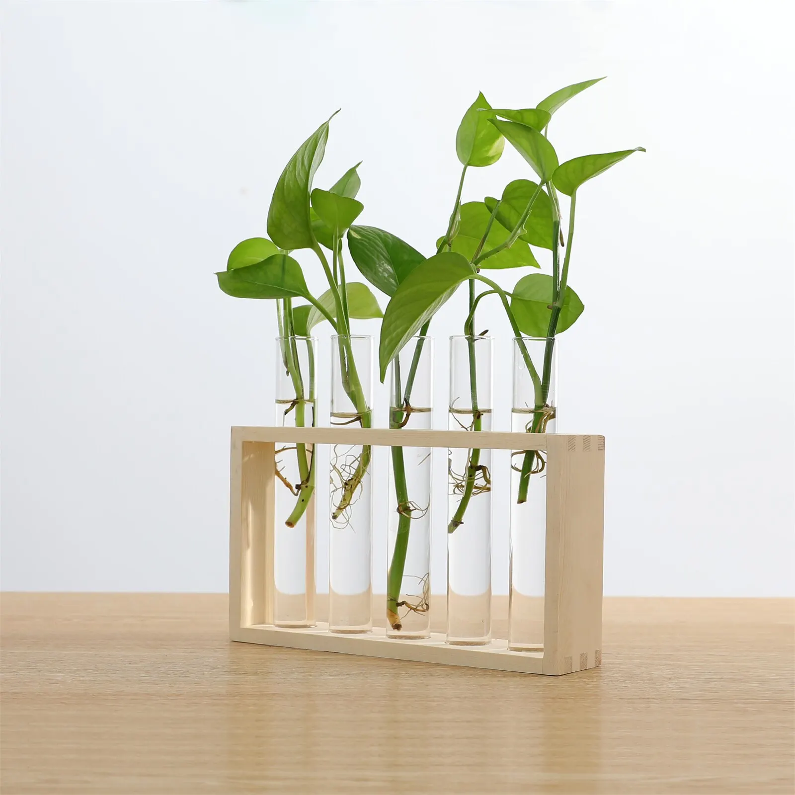 

Terrarium Vase Desktop Test Tube Vase Home Decoration Plant Hydroponic Retro simplicity Transparent Gardening Supplies