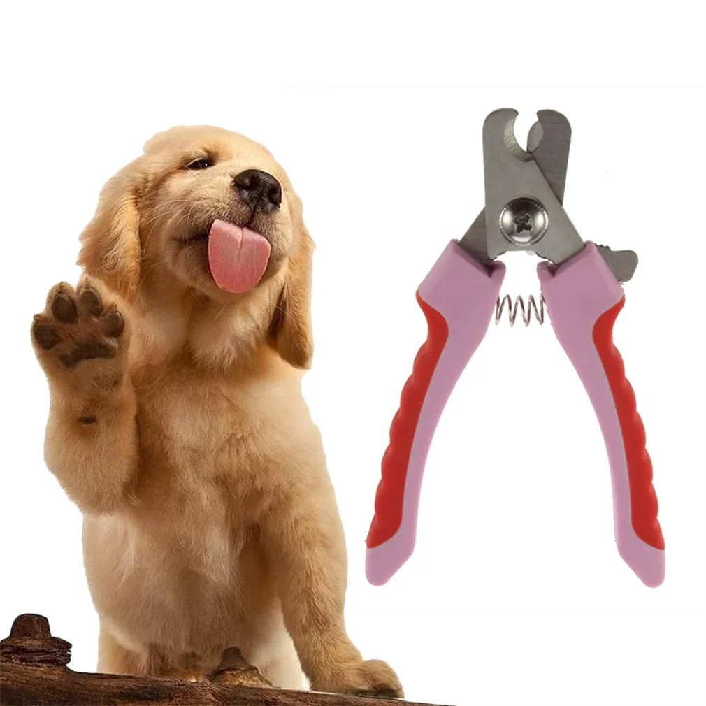 1pcs Pet Nail Clippers Cutter For Animal Dogs Cats Pig Birds Guinea Claws Scissor Cut Product Scissors Brand New | Дом и сад