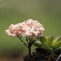 5pcs mini artificial tree crafts for fairy garden micro landscape terrarium bonsai home decoration 15 style miniatures ornaments