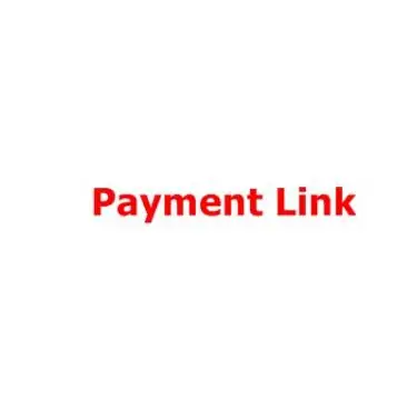 

the payment link