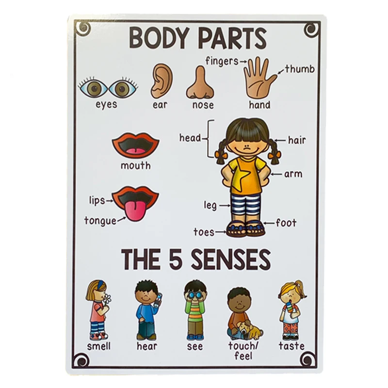 20 групп/комплект карточка для изучения английских слов формата A4|Чтение| |