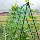 Садовые Зеленые растительные растения, шпалеры, поддержка для плетения, растения для альпинизма, садовая Огуречная сеть, Садовые принадлежности