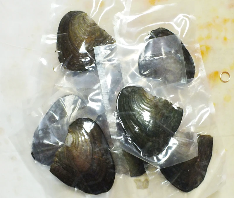 The most classic gift and the cheapest ! free delivery 100pcs Freshwater Vacuum-pack Oyster Wish Pearls. AAA 6-7 mm pearl | Украшения и