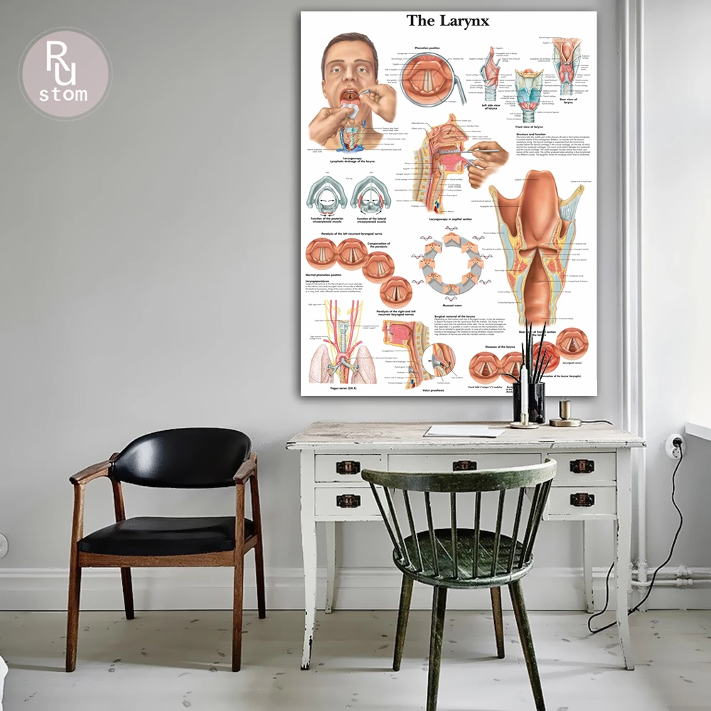 

RUSTOM Anatomical Charts Larynx Chart Canvas Print Wall Poster For Living Room Medical Education Office Home Decor