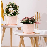 imitation ceramic plastic thickening simple creative resin succulent flower pot mulfifunctional mini flowerpot garden supplies