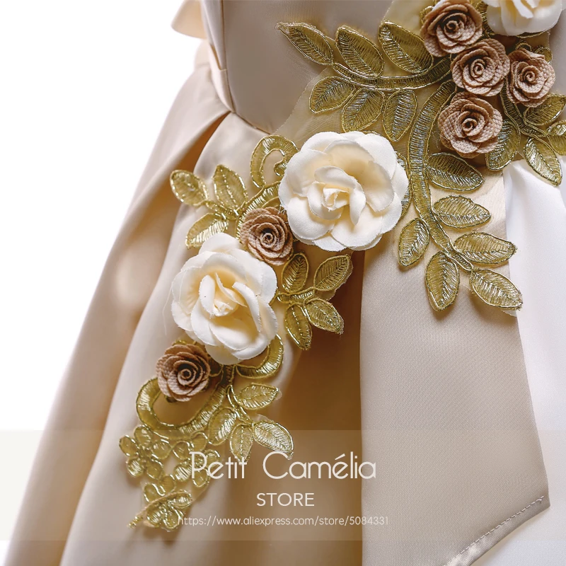 Платье принцессы для девочек вечернее платье с аппликацией выступлений и