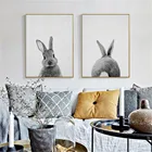 Картины на холсте с изображением кролика сзади и кролика