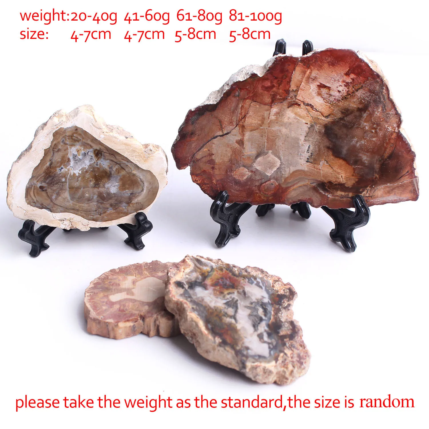 1 шт. полированный микросекти из натурального окаменевшего дерева кусочки