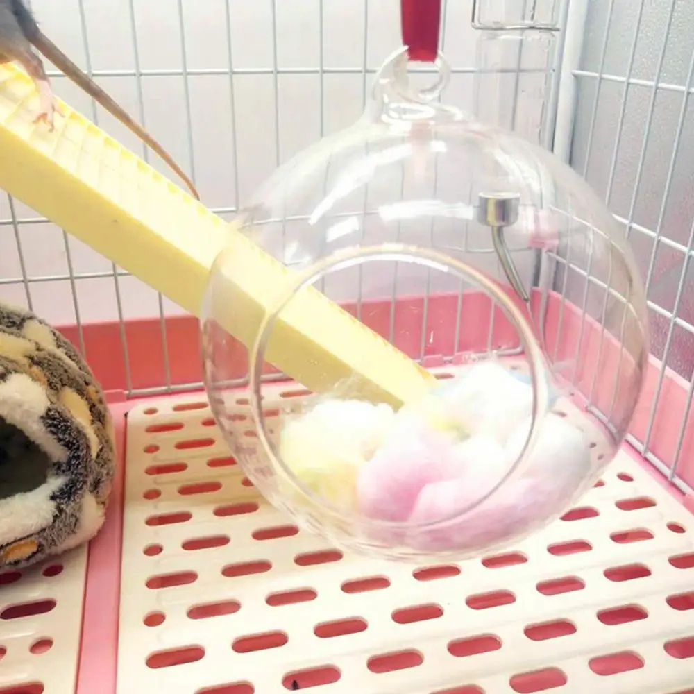 

Plastic Glass Transparent Pet Hamster Cooling Hut Summer Cottage House for Syrian Hamsters Sugar Glider Animal Supplies Hamster