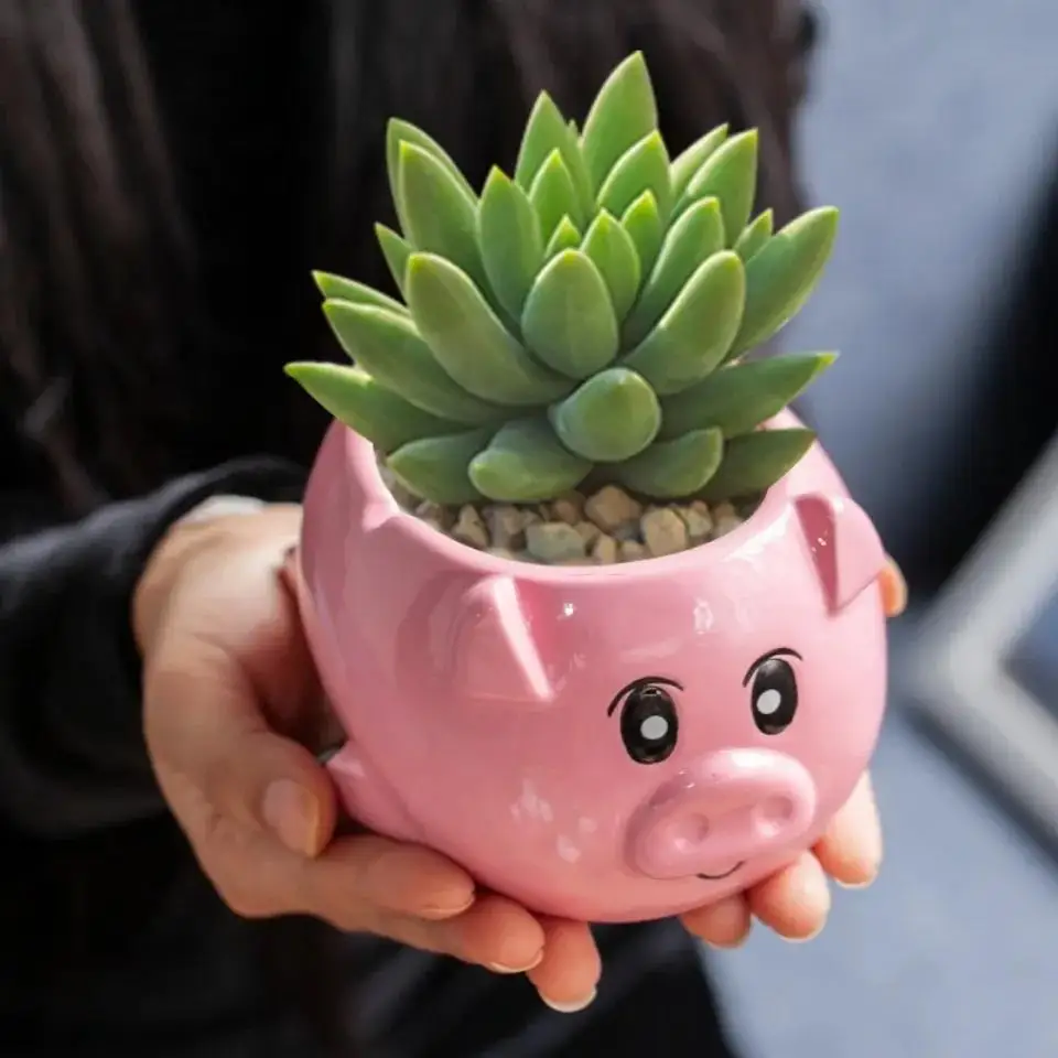 

Cute Flowerpot Cartoon Pig Ceramic Flowerpot Cartoon Animal Succulent Planter Balcony Garden Pots Vase Garden Home Decor