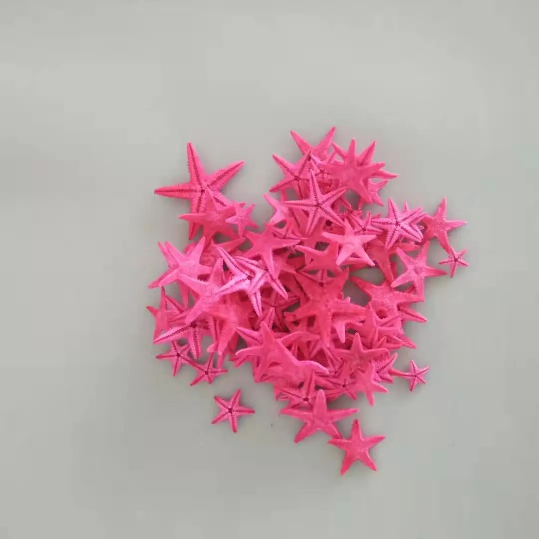 150 шт./лот diy классический корпус из натуральной маленькой морской звезды