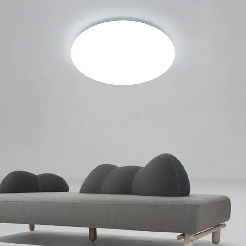 Потолочные светильники для прихожей кухни туалета ванной комнаты современный