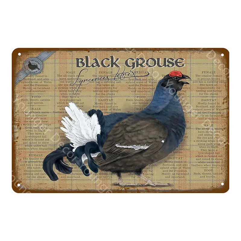 YD7898BI Fresh Eggs Black Grouse Metal Signs Beef Cow Chicken Meat Collection Poster Vintage Wall Painting Craft Farm House Decor YI-164 - Цвет: YD7898BI