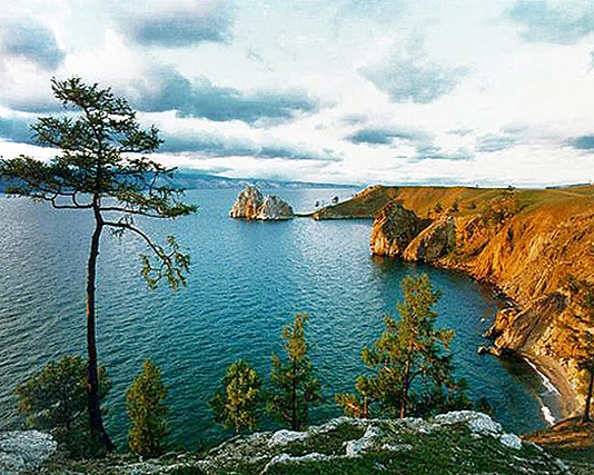 

A16077 11CT/14CT/18CT/25CT/28CT oil street patterns Counted Cross Stitch DIY Cross Stitch Kits Embroidery Needlework Sets