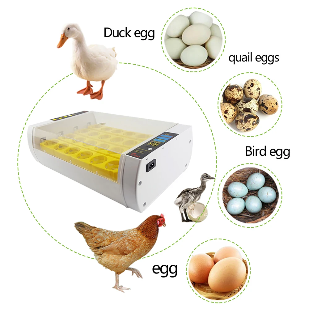 Полностью автоматический инкубатор для яиц мини домашний курицы птицы