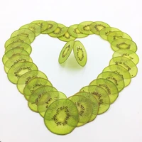 10pcs pressed dried kiwi kiwifruit slices fruit plant herbarium for jewelry postcard card phone case bookmark making diy