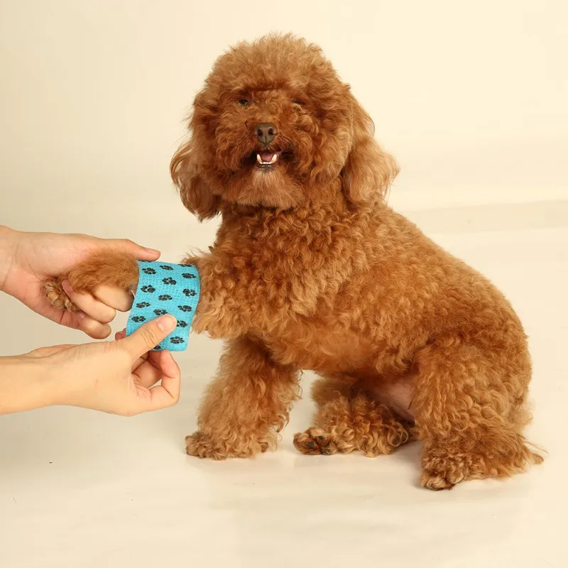 

Pets Dogs Accessories Dog products Pet supplie Green Yellow Self Adhering Stick Bandage Self Adherent Breathable Bandage