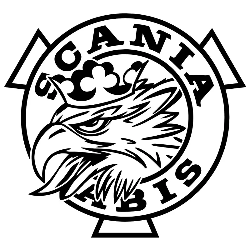 Scania Vabis забавная для автомобиля/бампера/окна виниловая наклейка наклейки DIY Декор