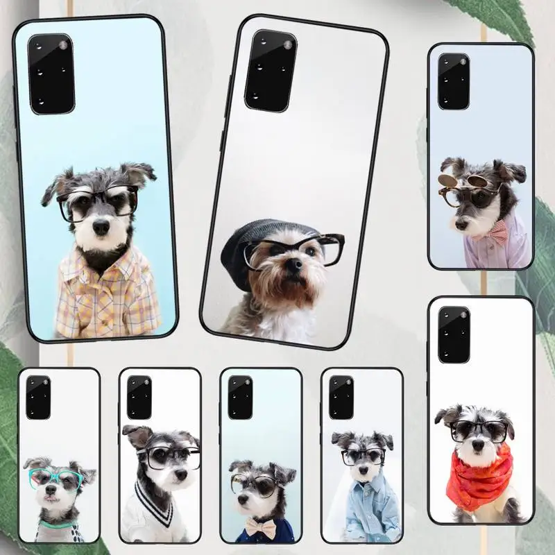 

Schnauzer Dog cute animal pattern Phone Case For Samsung galaxy A S note 10 12 20 32 40 50 51 52 70 71 72 21 fe s ultra plus