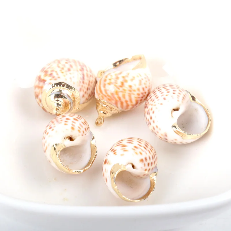 5 шт. декоративные ракушки для аквариума пляжа | Дом и сад