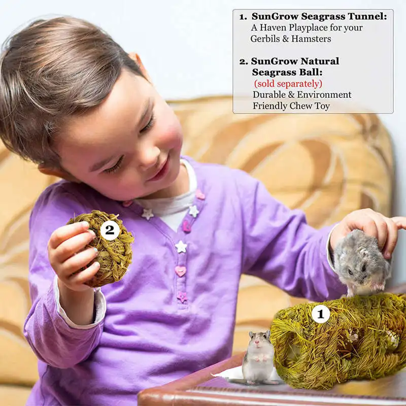 

Hand-Woven grass Tunnel Toy - Small Animal Activity Center From Pet-Safe, All Natural Grass Tunnel House - Perfect For Rabbits,