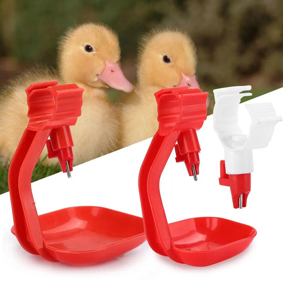 10 шт. подвесная поилка для птицы|Принадлежности кормления и поения| |