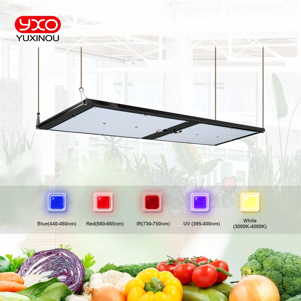 Samsung LM301H Dimmable 240w Tech LED Board Growbox hydroponics culture kit Phyto lamp For Greenhouse Plant Growth Lighting