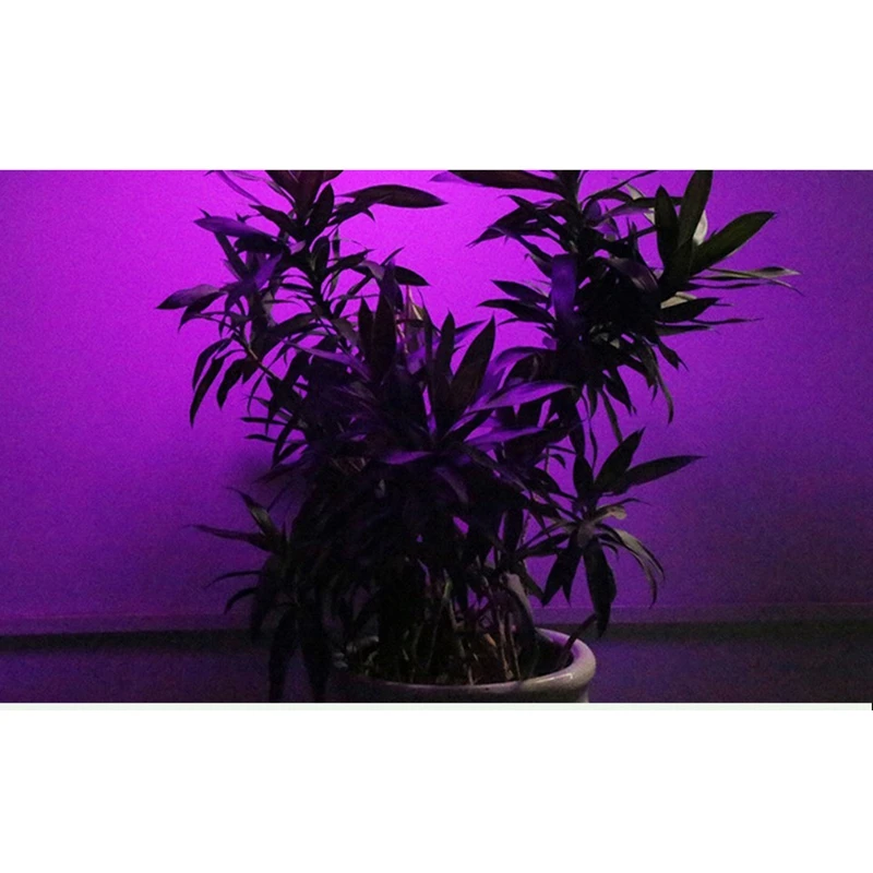 

Full Spectrum LED Grow Lamp 200 LED Light for Plant Grow Light Red Blue LED for Plants Flower Growth Bulb