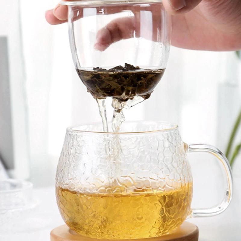 

Hand Blown Heat Resistant Glass Tea Cup With Lid And Infuser Borosilicate Glass Tea Cup Innovative Tea Bottle With Filter-430Ml