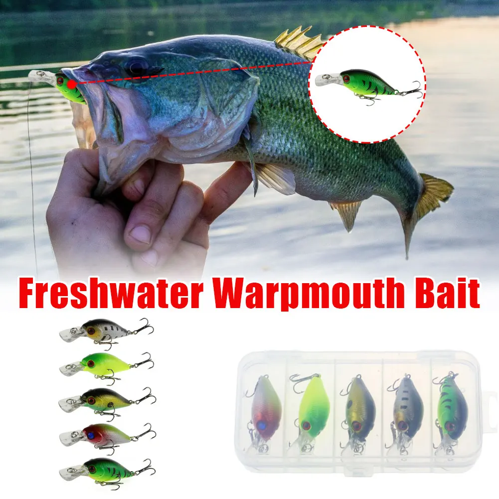 

5pcs Fishing Lure Set Bait Fake Bait Set Luya Bait Fishing Luya Bait Hard Bait Artificial Bionic Crank Lures With Box