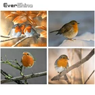 Evershine 5D DIY алмазная вышивка животные Полная площадь стразы алмазная мозаика птица вышивка крестиком Стикер стены