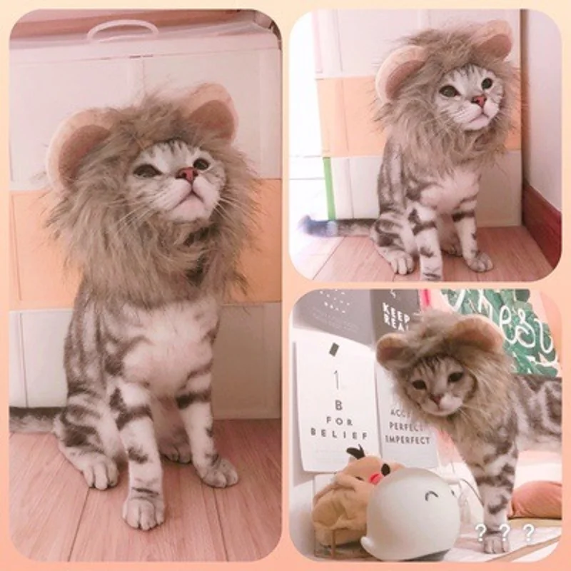 Костюм для косплея кошек и львов одежда с париками вечеринки Хэллоуина Рождества