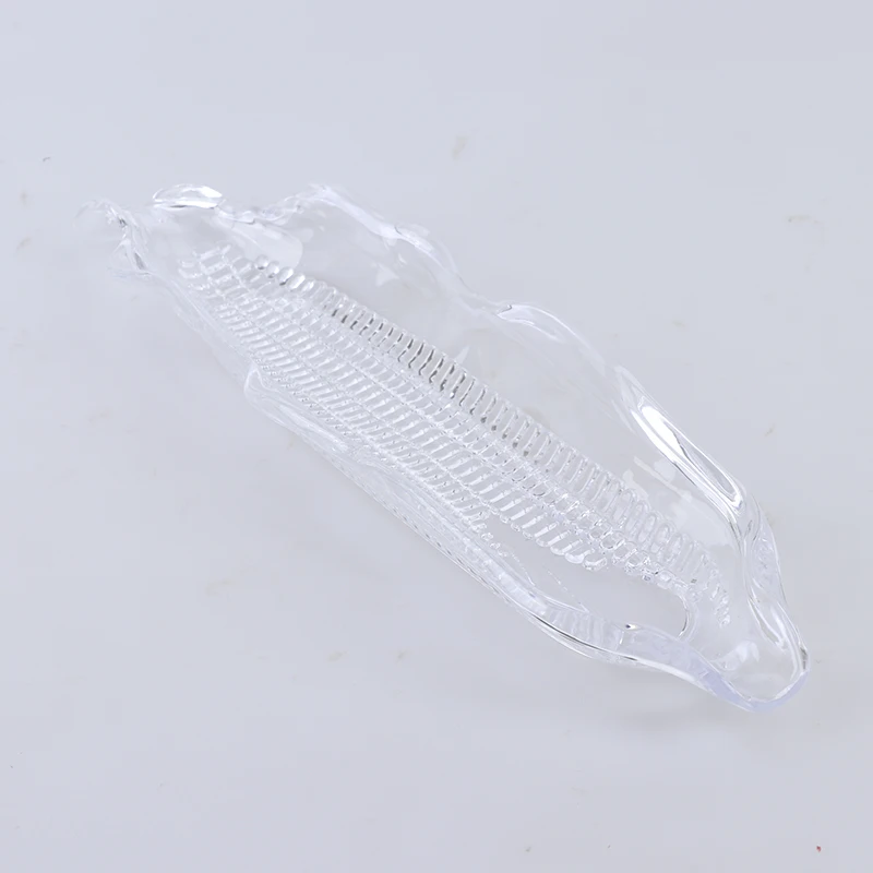 

Corn Trays Transparent Corn Cob Holders Barbecue Dish Tool Dessert Fruit Tray
