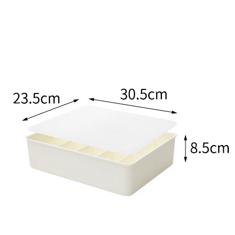 White 10 Grid Нижнее белье коробка с крышкой для хранения бытовой пластиковое нижнее белье Носки Бюстгальтер Органайзер Домашний шкаф Органайзер пыленепроницаемый - Цвет: White 10 Grid