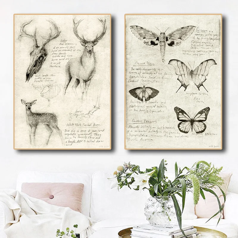 Плакат-бабочка морские дикие животные скелет научный плакат лаборатория комната