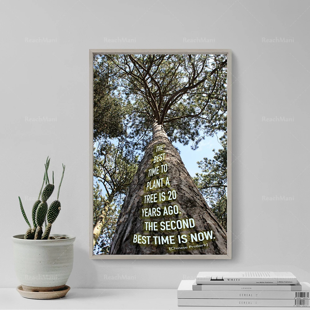 

"The best time to plant a tree..." Art Print Photo Gift Motivation Motivational Conservation Environmentalism