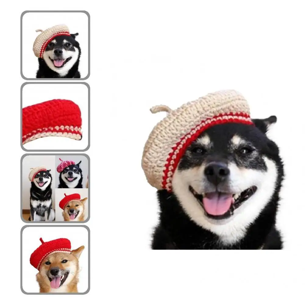 

Pet Accessories Cozy Dog Berets Knitted Headdress All-matched Pet Headdress Wear-resistant Photo Props