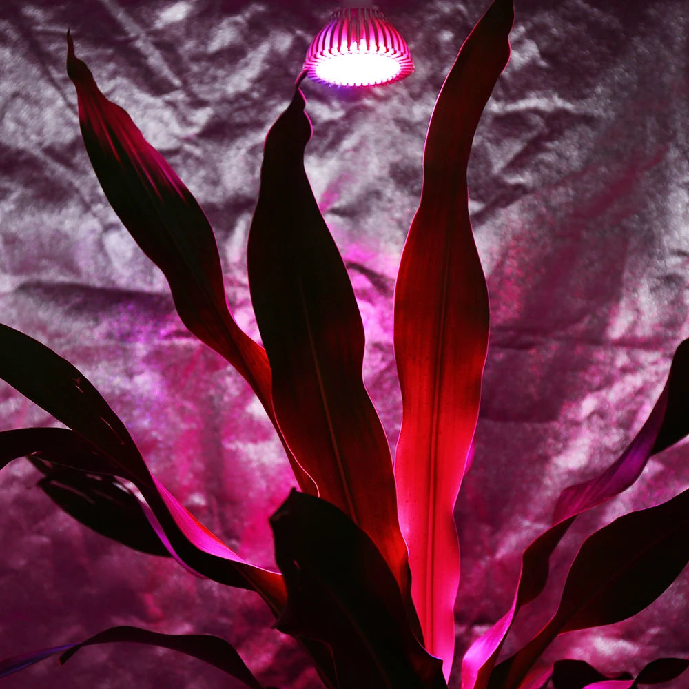 

XRYL 54W Full Spectrum E27 Led Grow Light Warm Light Phytolamp For Plants For Indoor Hydroponics Plant Seeds Flower Greenhouse