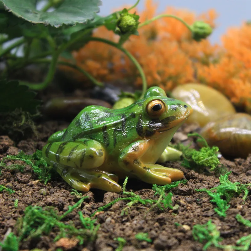 

Simulation Action Mini Frog Bullfrog Tree Frog Bullfrog Collection Animal Figures Model Cognition Educational Toys Children Gift