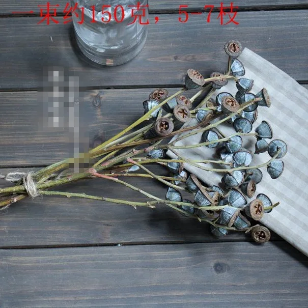 Сушеные цветы с солнечной системой Botany особенно увеличивающие голубой