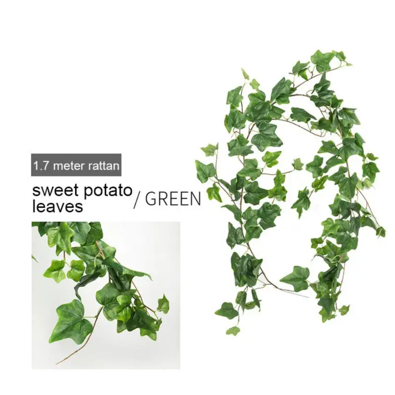 Листья ивы бегония сладкий картофель ротанговые шелковые растения листья