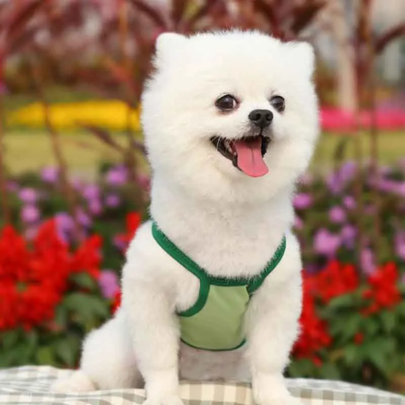 Жилет для собак Зимний флисовый теплый жилет мультяшный желтый щенок Одежда