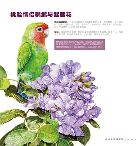 Книги с африканскими цветами для рисования птиц учебное пособие карандашей